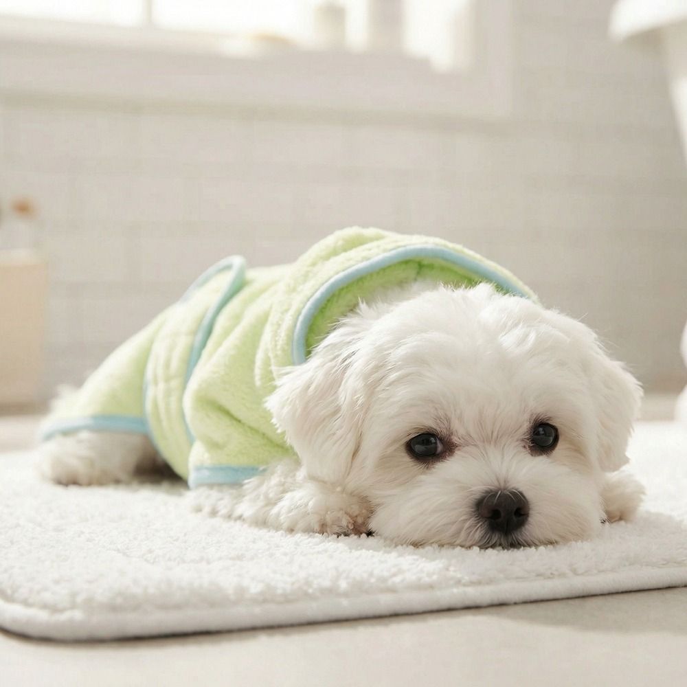 초흡수성 강아지 후드 목욕 가운 따뜻한 산호 플리스 강 - Hooded Bath Towel 리뷰 및 가격